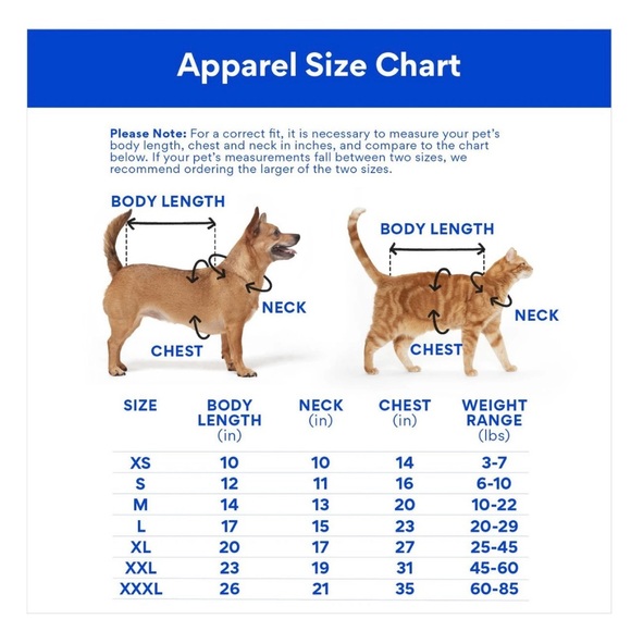 🐶🐱 NWT Disney Princesses “Be-YOU-tiful” Dog and Cat Dress in Size Small - Picture 4 of 7